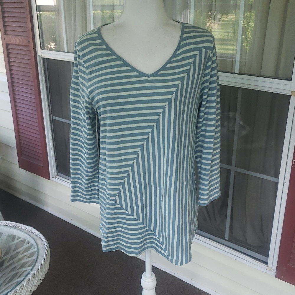 Soft Surrounding V-Neck 3/4 Long Sleeve Blue Stripe Tunic